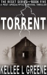 Книга The Reset Series | Book 5 | Torrent